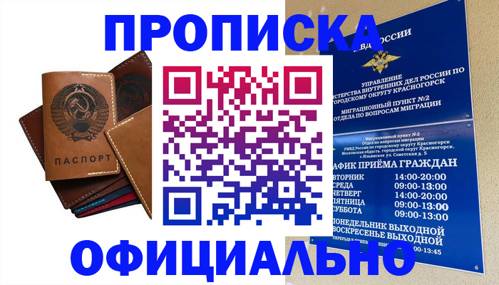 временная прописка в Щёкино